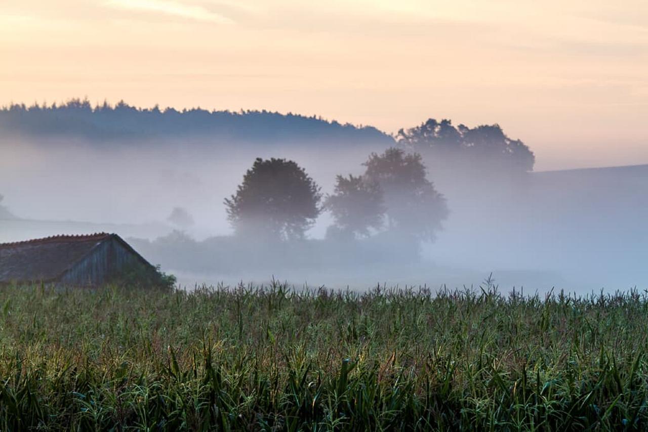 Appartamento Muellner-Hof Schwarzach bei Nabburg Esterno foto